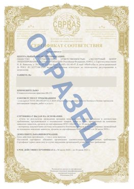 Образец Сертификат СТО 01.064.00220722.2-2020 Томилино Сертификат СТО 01.064.00220722.2-2020 